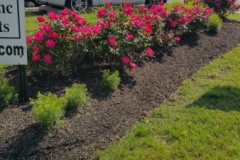 landscaping10