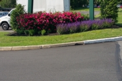 landscaping9
