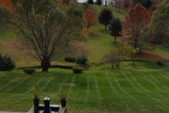 Lawn