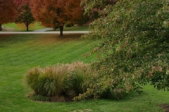Lawns2