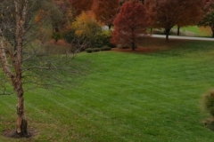 Lawns3
